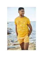 Helly Hansen pánske plavky Cadiz Trunk 34253 328