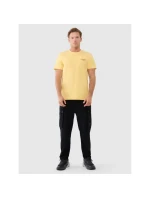 Pánske tričko s potlačou 4F 4FWSS25TTSHM1974- 4F 4FWSS25TTSHM1974-71S