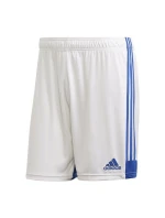 Pánske šortky Tastigo 19 M FI6355 - Adidas