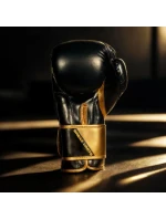 Boxerské rukavice 10oz - Infinity - Origin Series