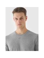 Pánske pravidelné rýchloschnúce tréningové tričko 4F 4FWAW24TFTSM1003-25M