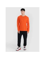 Pánske nadrozmerné hladké tričko s dlhým rukávom 4F 4FRSS25TLONM518-70S pánske