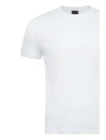 Pánske tričko ALEKSANDER 3XL-4XL Pánske tričko ALEKSANDER 3XL-4XL