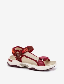 Sandały Damskie Na Rzepy D.Franklin DFSH406003 Bordowe