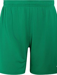 Dámske šortky adidas Entrada 26 green JZ2539 women