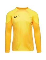 Pánsky brankársky dres Gardien IV JSY M DH7967 719 - Nike