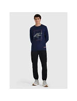 Pánske tričko s potlačou a dlhým rukávom 4F 4FRAW25TLONM606-31S pánske