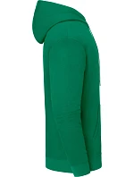 Fruit of the Loom Iconic 250 Hooded Sweat Mikina s kapucňou 16.2294 college green Fruit of the Loom Iconic 250 Hooded Sweat Mikina s kapucňou 16.2294 college green