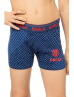 CHLAPČENSKÉ BOXERKY 232014