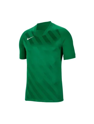 Pánska obuv Challenge III M BV6703-302 - Nike