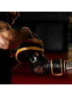 Viacvrstvové boxerské rukavice - ProFighter Gold - Legacy Series