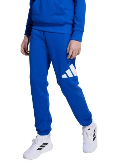 Detské nohavice adidas Essentials 280 modré JV9916