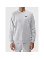 Pánska mikina s kapucňou 4F 4FWMM00TSWSM1767-27M