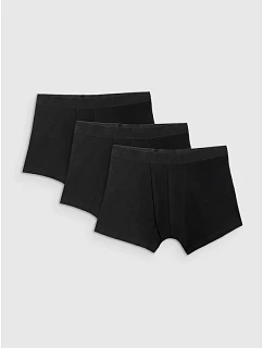 Pánske boxerky (3 balenia) 4F 4FRSS26UBXSM103-20S