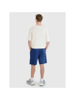 Pánske šortky regular fit SHOM543-031S modré - 4F