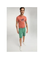 Pánske tričko Aaron C Print M 1009522 7103 - Mustang Pánske tričko Aaron C Print M 1009522 7103 - Mustang