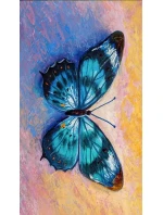 Plážová osuška 100x180