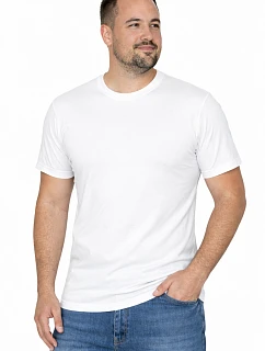 Pánske tričko Heavy 21172-20-3XL