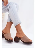 Dámské pantofle na klínku s zlatými sponami tmavě béžové Davessa