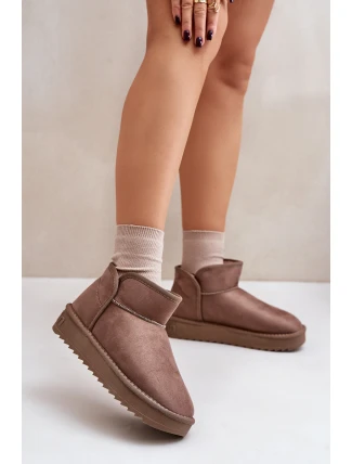 Śniegowce Na Platformie Damskie D.Franklin DFSH370010 Taupe