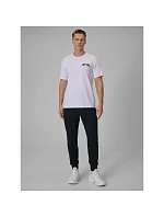 Pánske tepláky typu jogger 4F 4FRSS26TTROM1986-31S