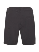 Protestné pánske športové šortky PRTFEARGHUS Surfable Short for summer grey (P2713821/899) Protestné pánske športové šortky PRTFEARGHUS Surfable Short for summer grey (P2713821/899)