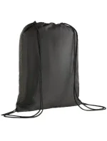 Vak na obuv Puma Team Goal 090240 01