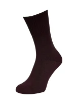 Pánske ponožky Regina Socks Purista Antybakteriální Froté Pánske ponožky Regina Socks Purista Antybakteriální Froté