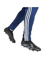 Nohavice adidas Tiro 24 WInterized M IY0114
