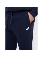 Pánske tepláky typu jogger 4F 4FRMM00TTROM1624-31S