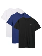 Pánske tričko (sada 3 tričiek) 4F 3P-SS-4FWMM00TTSHM2256-92S 3PAK