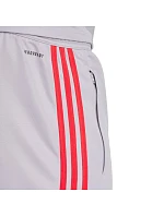 Nohavice adidas Squadra 25 Training M JP3372