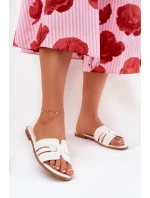 Papuče model 209964 Step in style