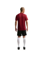 Pánske tričko Nike Dri-Fit Park VIII Burgundy HV8173 677 Pánske Pánske tričko Nike Dri-Fit Park VIII Burgundy HV8173 677 Pánske