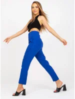 Nohavice BR SP 219.71 kobalt