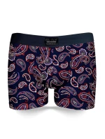 Pánske boxerky John Frank JFBUC147