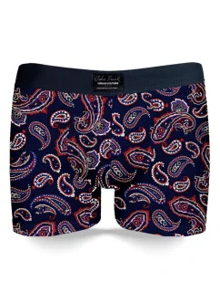 Pánske boxerky John Frank JFBUC147