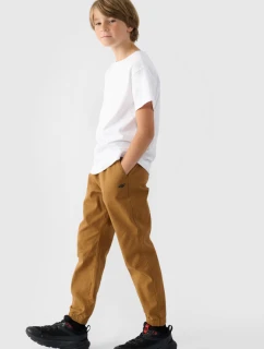 Chłopięce Spodnie Joggery Casual Gładkie 4F 4FJWMM00TTROM0812-82S Brązowe