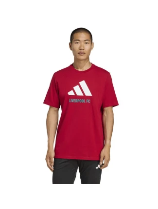 Adidas Liverpool FC Sezónne grafické tričko DNA 2 JY3466