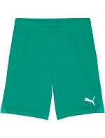 Pánske šortky Puma Team Goal Green 705752 05