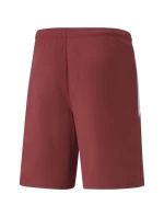 Šortky Puma teamLIGA M 704924 09