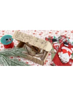 Nočná košeľa 5101 - Doctornap