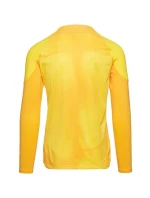 Pánsky brankársky dres Gardien IV JSY M DH7967 719 - Nike