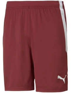 Šortky Puma teamLIGA M 704924 09