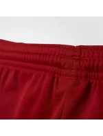 Pánske futbalové šortky PARMA 16 SHORT M AJ5881 - Adidas Pánske futbalové šortky PARMA 16 SHORT M AJ5881 - Adidas