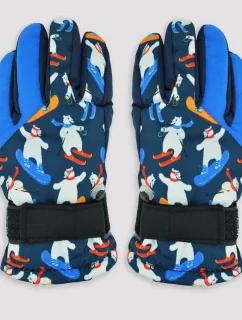 LYŽIARSKE RUKAVICE RN063