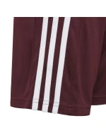 Squadra 21 Short Jr GN8081 - Adidas