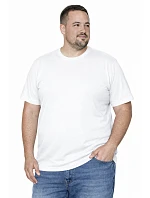 Pánske ťažké tričko 21172-20-4XL-5XL Pánske ťažké tričko 21172-20-4XL-5XL