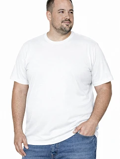 Pánske ťažké tričko 21172-20-4XL-5XL