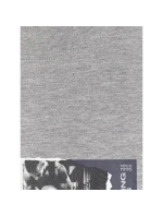 Pánske tričko s potlačou 4F 4FRAW25TTSHM3364-27M